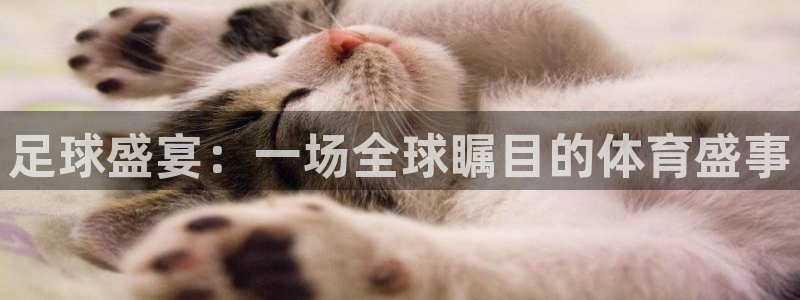 足球盛宴：一场全球瞩目的体育盛事