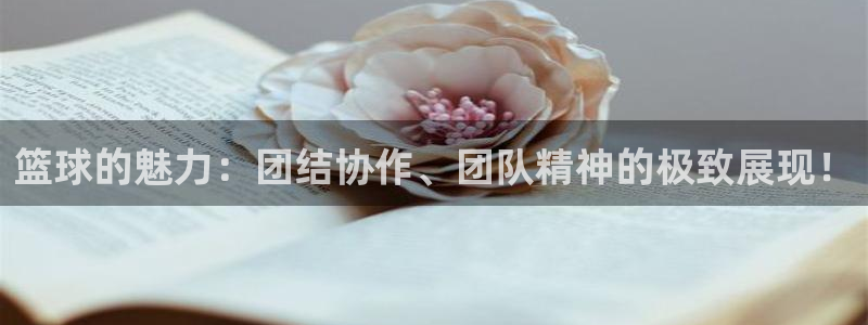 篮球的魅力：团结协作、团队精神的极致展现！