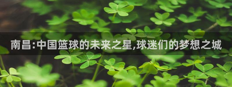 壹元影业集团：南昌:中国篮球的未来之星,球迷们的梦想之城