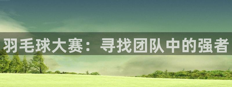 壹号娱乐电子游戏官网：羽毛球大赛：寻找团队中的强者
