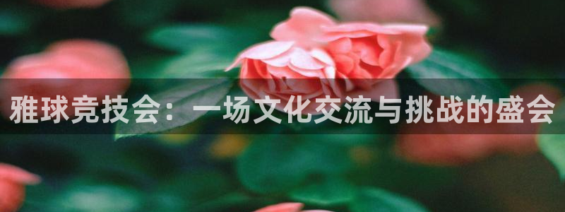 壹号娱乐室：雅球竞技会：一场文化交流与挑战的盛会