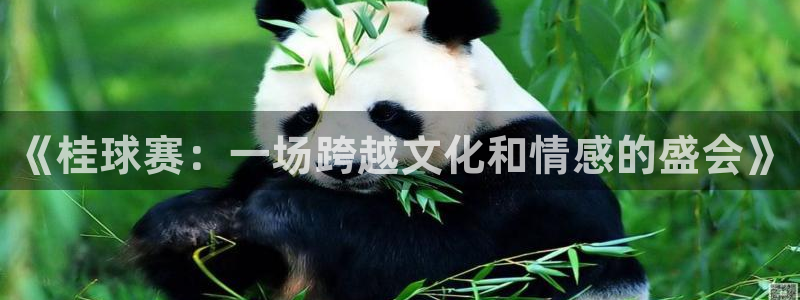 壹元娱乐app下载安装