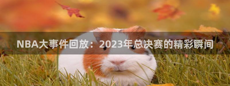 壹号平台登录入口官网：NBA大事件回放：2023年总决赛的精