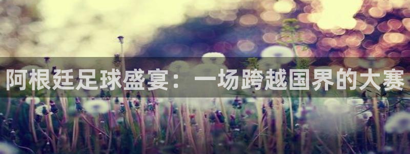 壹号娱乐强制退款流程详解：阿根廷足球盛宴：一场跨越国界的大赛