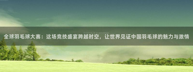 壹号平台下载app：全球羽毛球大赛：这场竞技盛宴跨越时空，让