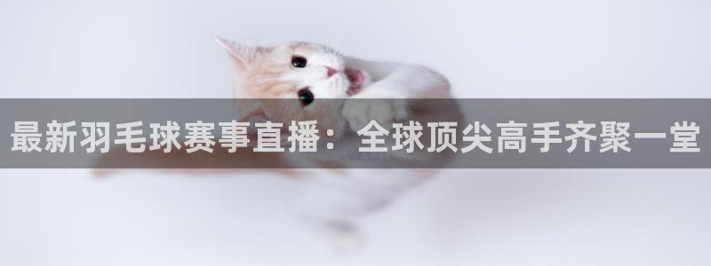 壹号游乐：最新羽毛球赛事直播：全球顶尖高手齐聚一堂