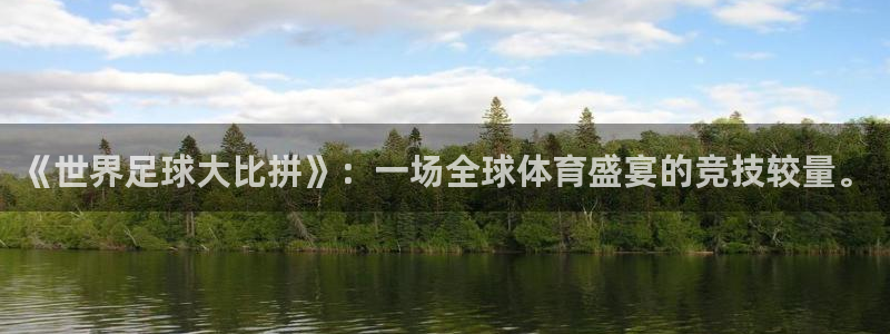 壹号娱乐不出款怎么回事：《世界足球大比拼》：一场全球体育盛宴