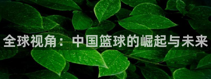 壹号平台已受理13天了还没退款：全球视角：中国篮球的崛起与未