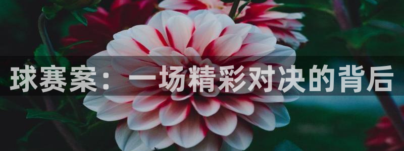 亿号娱乐