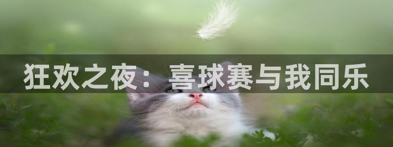 壹号平台退款成功案例详解：狂欢之夜：喜球赛与我同乐