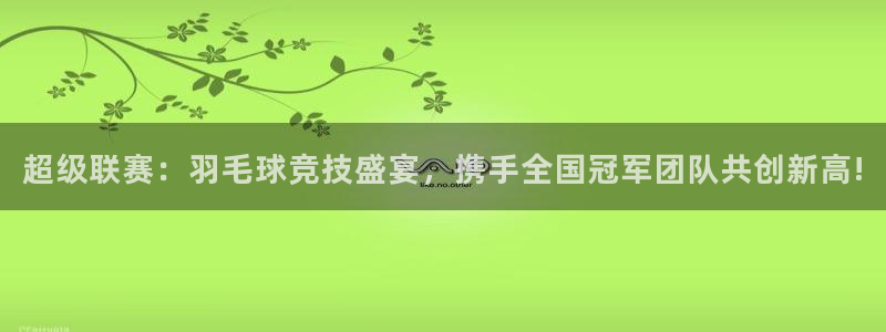 壹号平台下载app：超级联赛：羽毛球竞技盛宴，携手全国冠军团